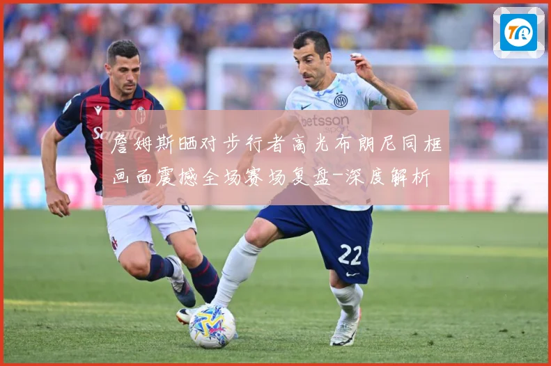 詹姆斯晒对步行者高光布朗尼同框画面震撼全场赛场复盘-深度解析