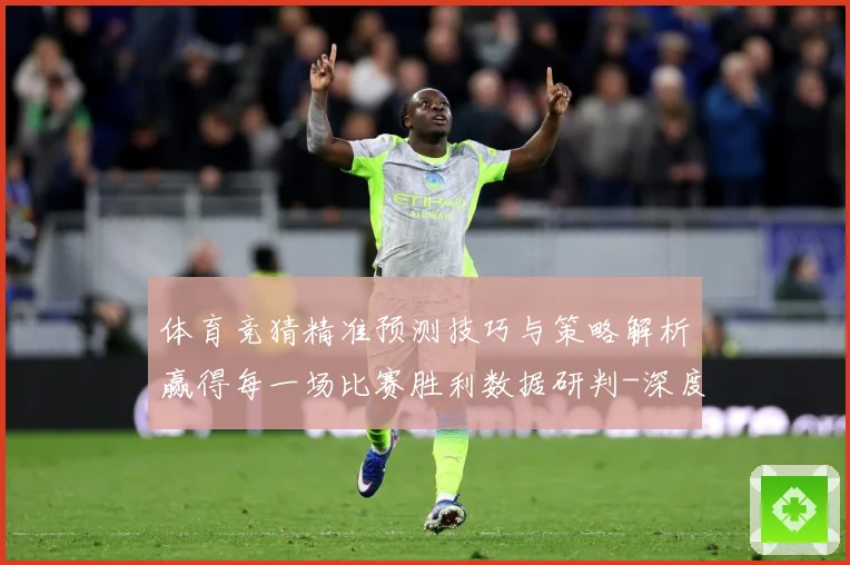 体育竞猜精准预测技巧与策略解析赢得每一场比赛胜利数据研判-深度解析
